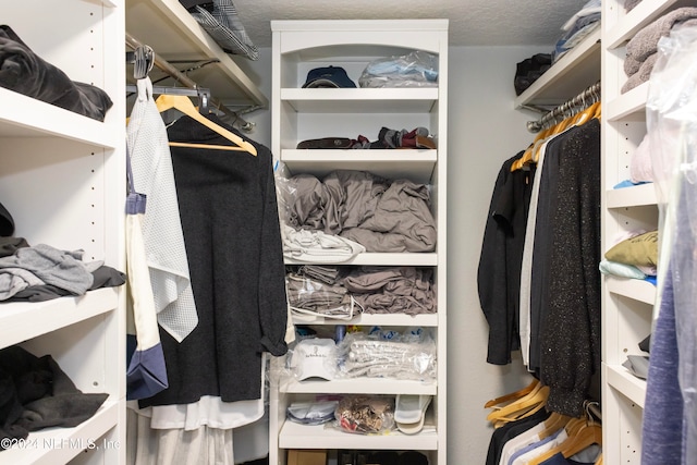 view of walk in closet