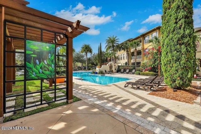 view of pool featuring a patio