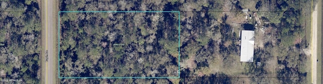 10230 Turpin Ave, Hastings FL, 32145 land for sale