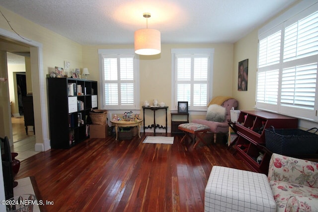 sitting room with a textured ceiling, dark hardwood / wood-style floors, and a healthy amount of sunlight