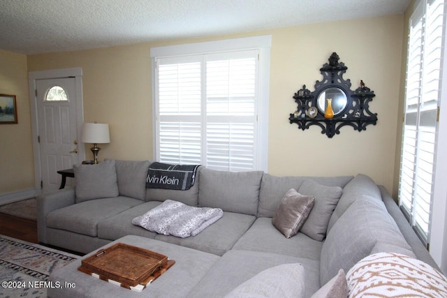 living room with a textured ceiling and plenty of natural light