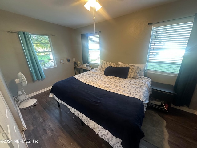 bedroom featuring dark wood-type flooring, multiple windows, and ceiling fan