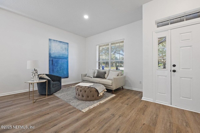 living room with wood-type flooring