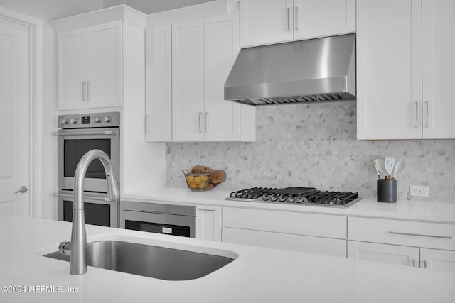 kitchen featuring white cabinets, wall chimney range hood, sink, tasteful backsplash, and stainless steel appliances