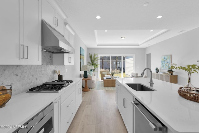 kitchen featuring light hardwood / wood-style floors, sink, appliances with stainless steel finishes, and a tray ceiling