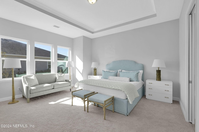 bedroom featuring light colored carpet and a raised ceiling