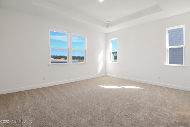 2523 Trailmark Dr, Saint Augustine, FL 32092 - empty room with recessed lighting, carpet flooring, baseboards, a raised ceiling, and crown molding