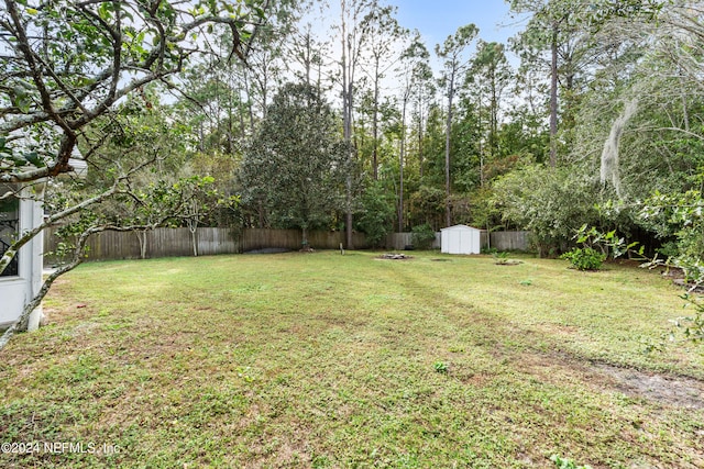 view of yard with a shed