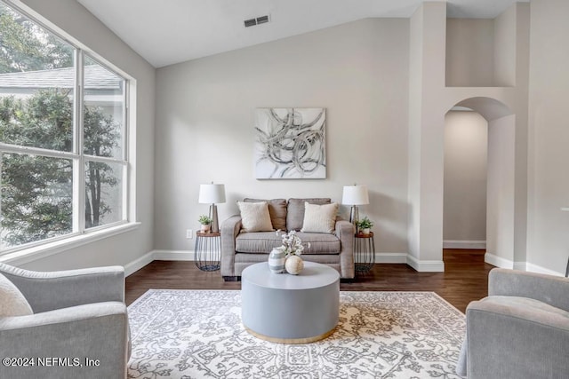 living room with lofted ceiling, a wealth of natural light, and dark hardwood / wood-style flooring