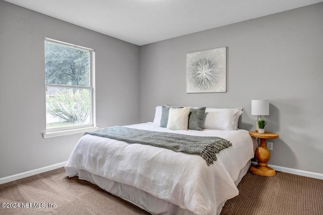 carpeted bedroom with multiple windows