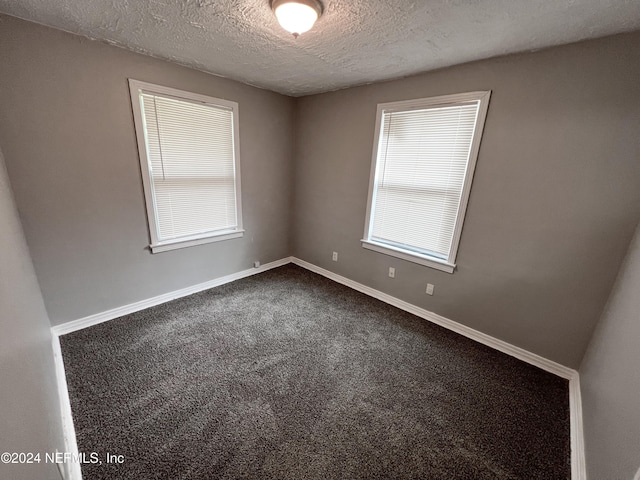 spare room with a wealth of natural light, a textured ceiling, and carpet floors