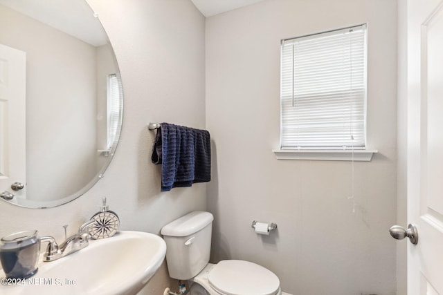 bathroom featuring toilet, a wealth of natural light, and sink