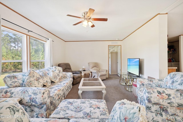 living room with carpet, crown molding, and ceiling fan