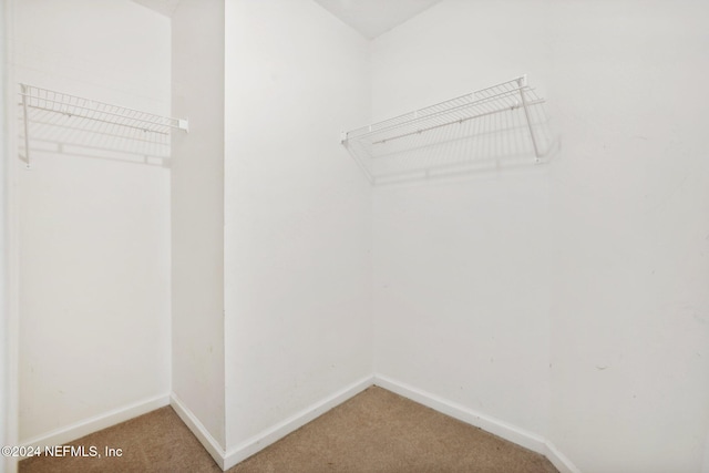 walk in closet featuring carpet