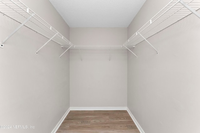 walk in closet with hardwood / wood-style floors