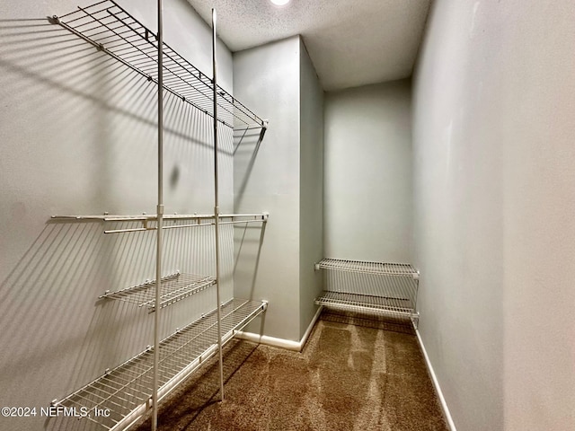 spacious closet featuring carpet floors