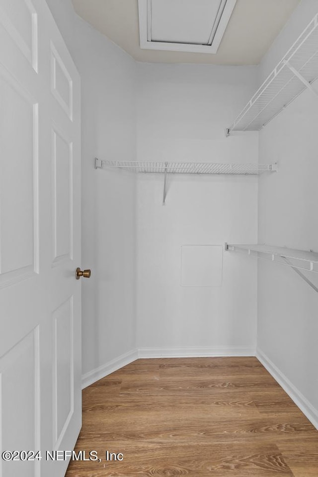 spacious closet featuring light wood-type flooring