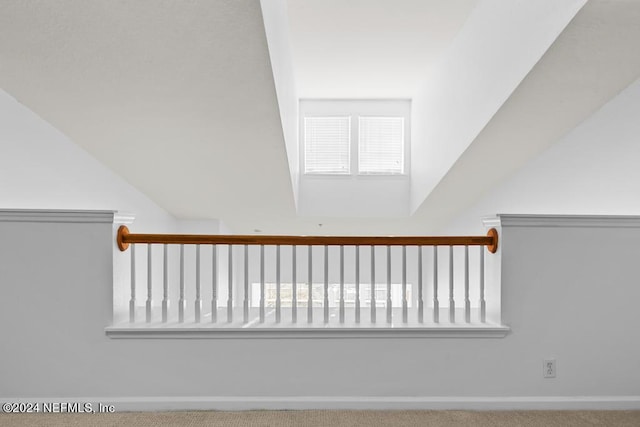 stairway with carpet floors