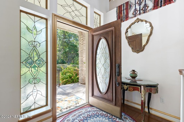 entrance foyer with wood-type flooring