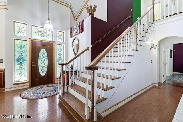 entryway featuring plenty of natural light, a high ceiling, and dark hardwood / wood-style flooring