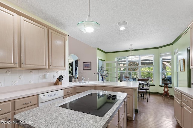 kitchen with light brown cabinets, black electric cooktop, dark wood-type flooring, hanging light fixtures, and a textured ceiling