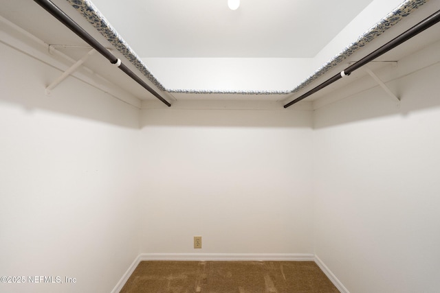 spacious closet with carpet floors