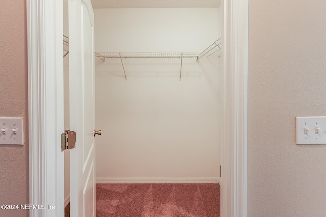 spacious closet featuring carpet