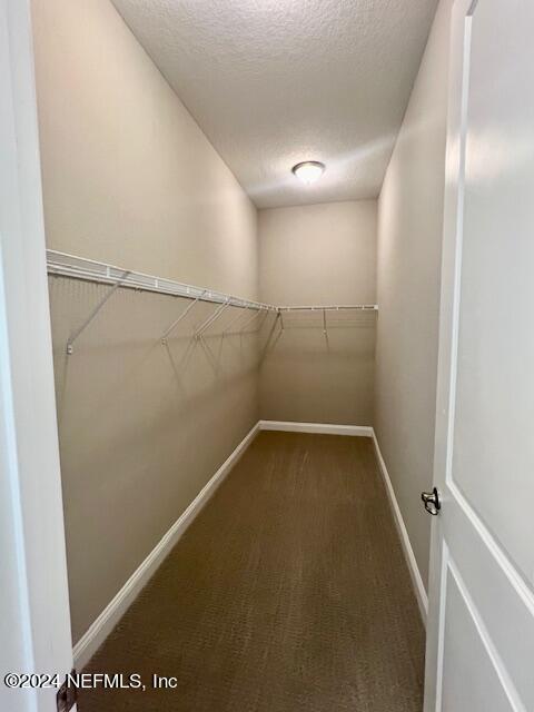 walk in closet featuring dark colored carpet