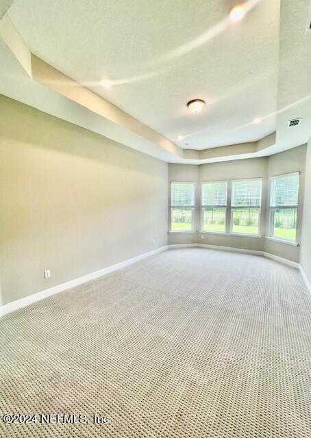 spare room with a textured ceiling, a tray ceiling, and carpet flooring