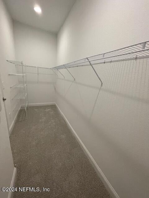 walk in closet with dark carpet