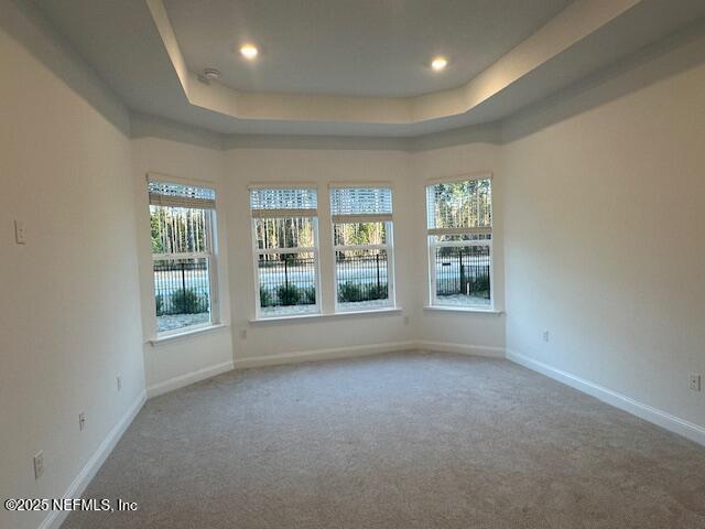 carpeted empty room with a tray ceiling and a wealth of natural light