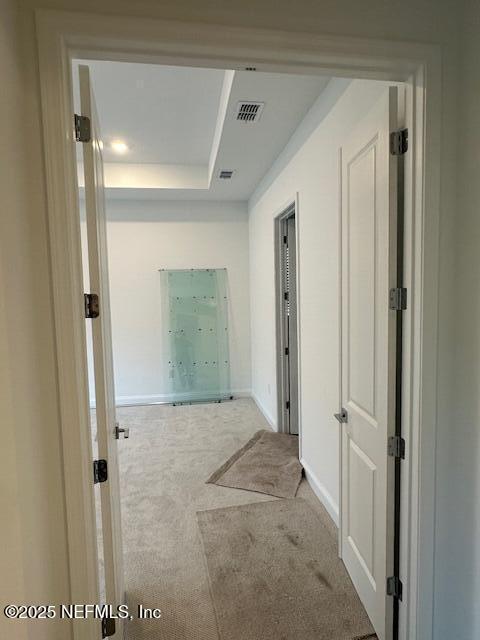 hall featuring light colored carpet and a raised ceiling