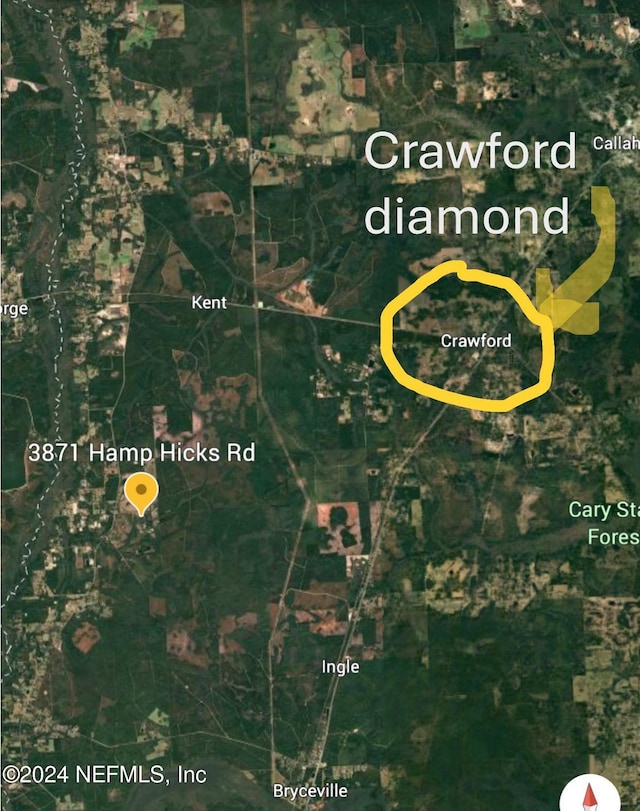 3871 Hamp Hicks Rd, Bryceville FL, 32009 land for sale