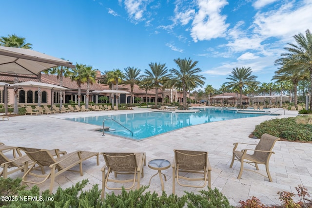 view of pool featuring a patio area