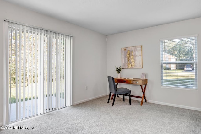 office space with carpet floors