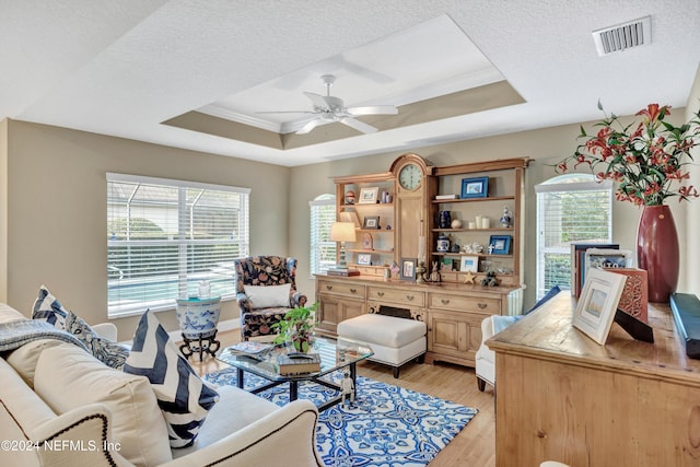 interior space with light hardwood / wood-style floors, a healthy amount of sunlight, and a tray ceiling