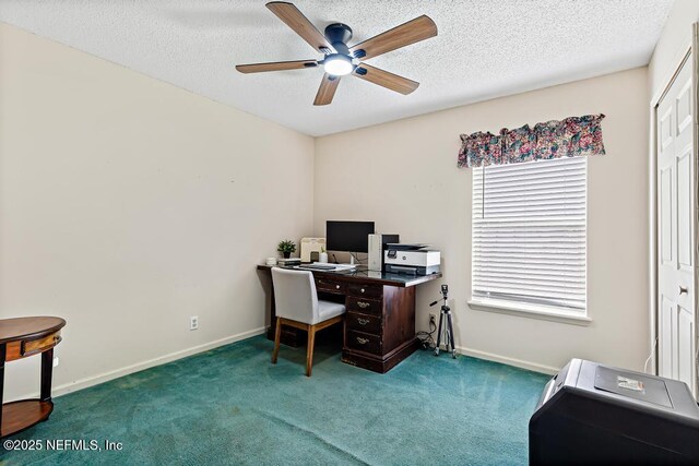 13551 Sol Ct, Jacksonville, FL 32224 - photo 35