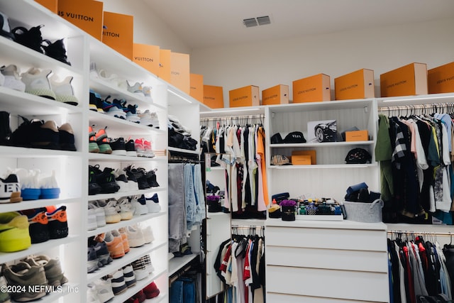 spacious closet with lofted ceiling