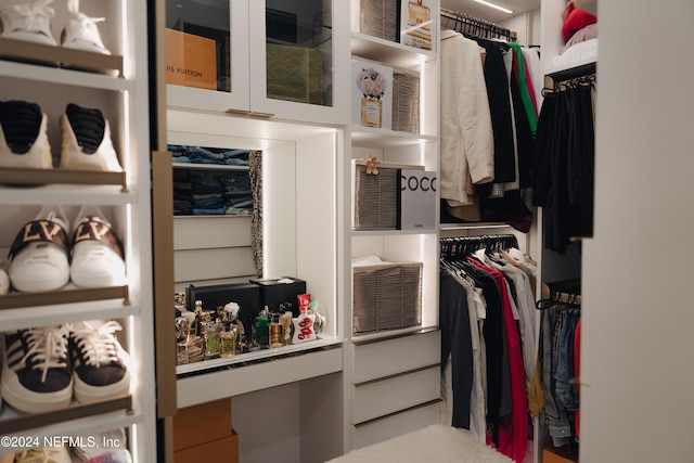 view of spacious closet