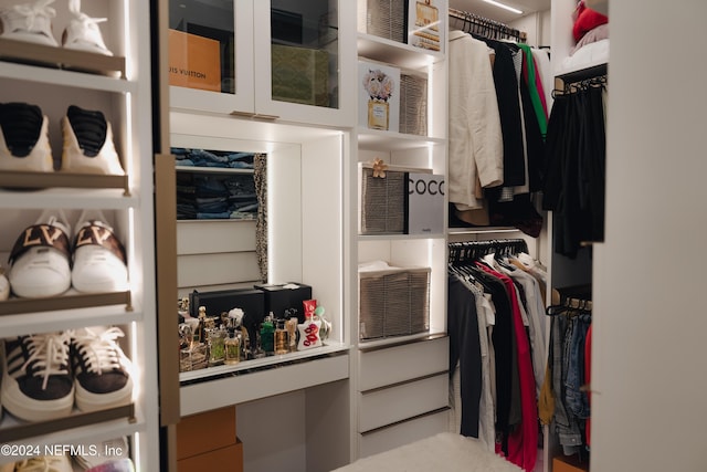 95 Caribbean Pl, Saint Johns, FL 32259 - view of spacious closet