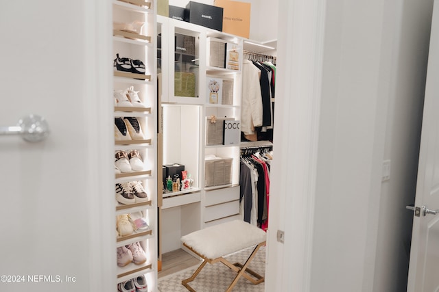 spacious closet with hardwood / wood-style flooring