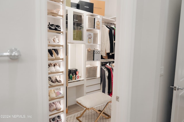 95 Caribbean Pl, Saint Johns, FL 32259 - walk in closet featuring light wood-type flooring