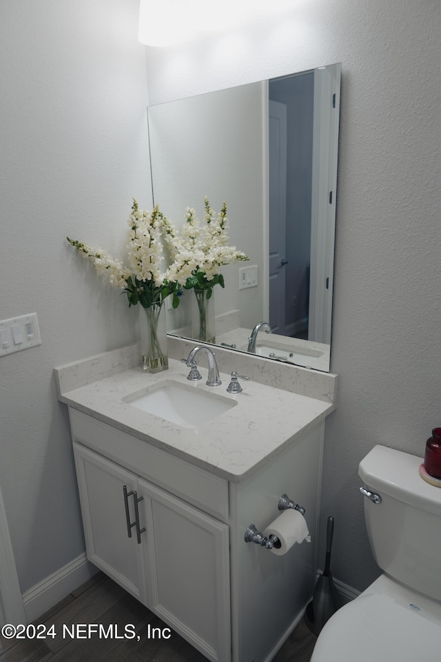 bathroom with vanity and toilet