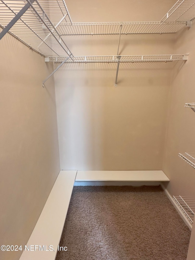 spacious closet with carpet flooring