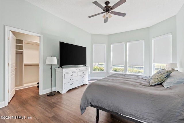 bedroom featuring a closet, a spacious closet, hardwood / wood-style flooring, and ceiling fan