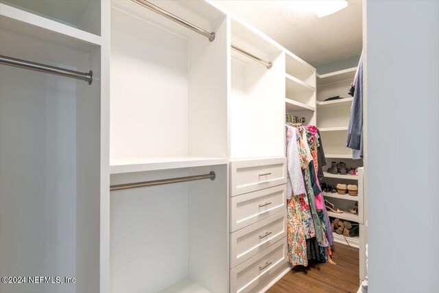 spacious closet featuring hardwood / wood-style flooring