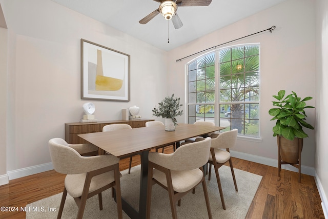 dining room featuring ceiling fan, a wealth of natural light, and wood-type flooring