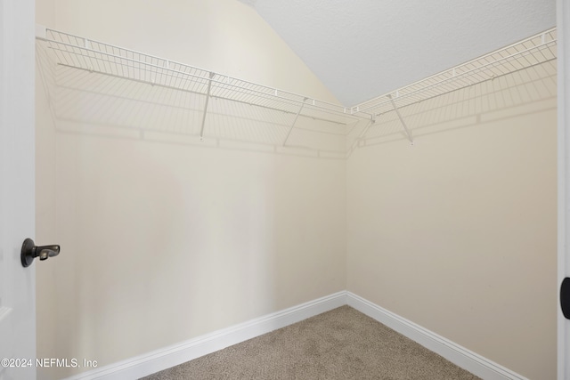 walk in closet with carpet