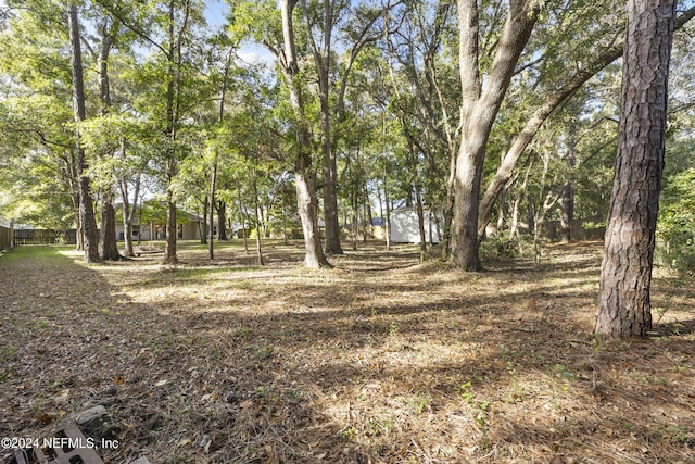 view of local wilderness