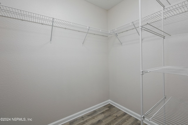 spacious closet featuring wood-type flooring